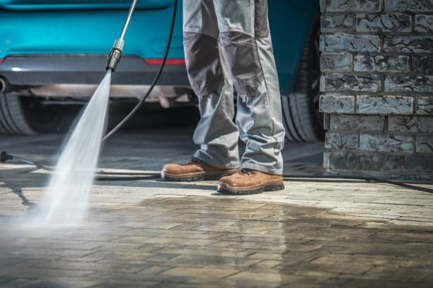 Best Roof Washing  in Purdy, MO