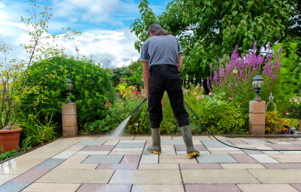 Best Sidewalk and Walkway Cleaning  in Purdy, MO